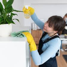 fearless cleaning services request a