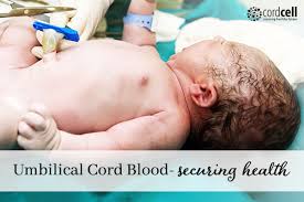 umbilical cord blood a health