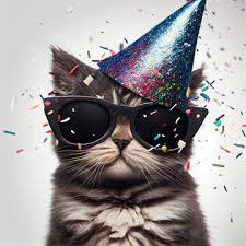 happy birthday funny cat images