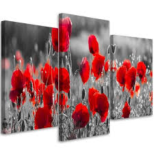 3 Piece Canvas Print Red Poppies
