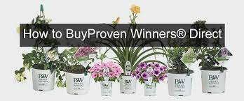 Get free shipping on qualified proven winners plants & garden flowers or buy online pick up in store today in the outdoors department. How To Buy Direct From Proven Winners Buyevergreenshrubs Com