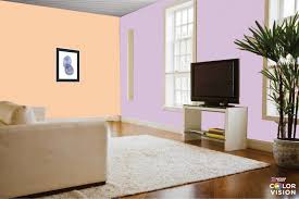 The different sheens affect the amount of light reflected, so the same colour in a different sheen may appear to be a different shade. Best Combos For Home Painting Colour Ideas For 2020 Nippon Paint