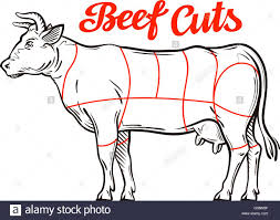 Vector Beef Chart Meat Cuts Butcher Shop Stock Vector Art