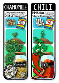 herb garden labels track the growth of