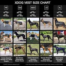 Xdog Weight Fitness Vest For Dogs A Weighted Dog Vest