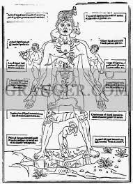 Image Of Bloodletting Chart 1493 The Zodiac Man The