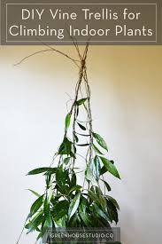 Dissolving sugar in hot/warm tap water makes sweet water but boiling makes syrup, a more concentrated attractant. Diy Trellis For Climbing Indoor Potted Plants Greenhouse Studio