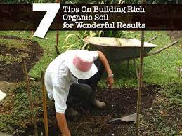 7 Tips On Building Rich Organic Soil