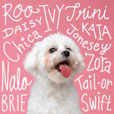145 cute dog names you ll fall in