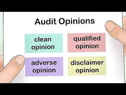 of audit opinions