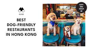 hong kong pet friendly restaurants you