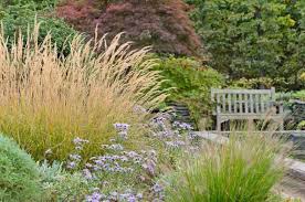 Ornamental grasses bring texture and variety to offset your flowers. Best Ornamental Grasses And Foliage Plants For Gardeners In New England