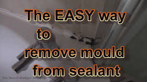 remove mould from bathroom sealant