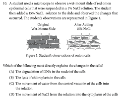 the best ap biology review guide for