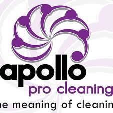 apollo pro cleaning restoration 10