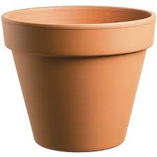However i intent to plant up with i think a box plant. Wilko Terracotta Plant Pot 16cm Wilko