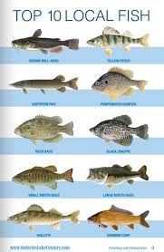 Fishing Tips Chart Fishingtips Fishing Flyfishing