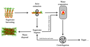 sugarcane industry waste recovery