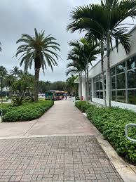 Exploring the University of Miami — DC College Counseling