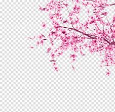802 x 602 jpeg 94 кб. Cherry Blossom Pink Tree Leaf Pink Leaves Transparent Background Png Clipart Hiclipart
