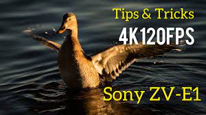 Shooting in 4K120fps: Sony ZVE1 Tips & Tricks - YouTube