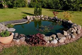 Location For A Pond Water Garden