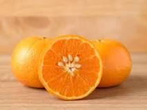 Do oranges have seeds or pits?