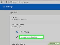 Download google chrome offline installer setup 2016 for latest version. How To Change Your Homepage On Chrome With Pictures Wikihow