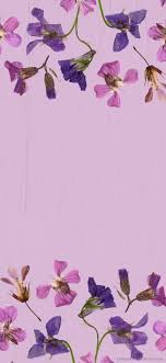 8 free purple flower iphone wallpapers