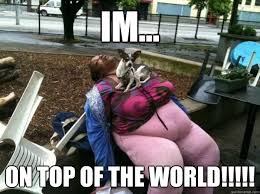 im... on top of the world!!!!! - Triumphant Dog - quickmeme via Relatably.com