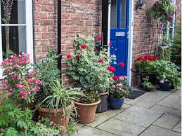 Front Garden Ideas For Uk Homes