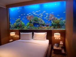 fish tank bedroom wall