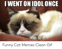 Here are the 12 most hilarious cat memes to help you laugh your worries away. I Went On Idolonce Funny Cat Memes Clean Gif Funny Meme On Awwmemes Com