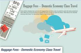 Baggage Fees Are Big Business