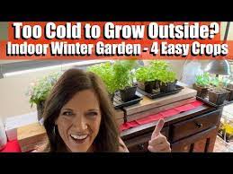 Indoor Winter Garden With 4 Easy Crops