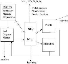 The basic earth's atmosphere is about 78 percent nitrogen, making it the largest pool of nitrogen. A Schematic Representation Of The Nitrogen Cycle In Download Scientific Diagram