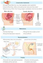 Faecal Incontinence (Bowel Incontinence) - General Information |  Embarrassing Problems