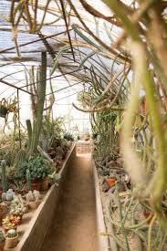 greenhouse at moorten botanical garden