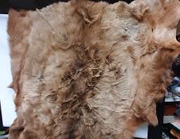 tanned elk hide hair on 68 x 50 in
