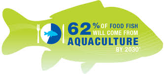 Why It Matters Global Aquaculture Alliance