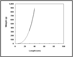 The Length Weight Table