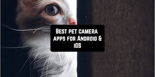 Horse medical agenda is now a universal application optimized to run on iphone, ipod and ipad devices. 7 Best Pet Camera Apps For Android Ios Free Apps For Android And Ios