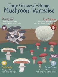 growing mushrooms at home fix com