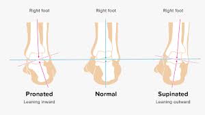 The Beginners Guide To Pronation