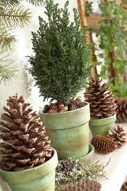 Pinecone Crafts And Decorations You Ll