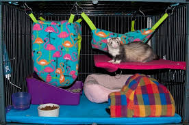 pimp your ferret s cage with these 10