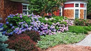 try mid sized shrubs for a layered border