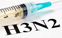 Image result for h3n2 virus symptoms and treatment
