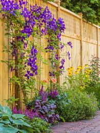 Disguise An Ugly Fence Or Precast Wall