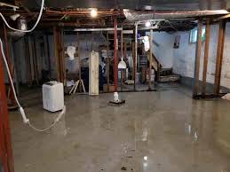 standing water in basement allenhurst nj